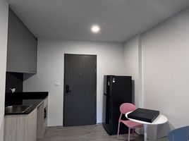 1 Bedroom Condo for rent at Dolce Lasalle, Bang Na, Bang Na