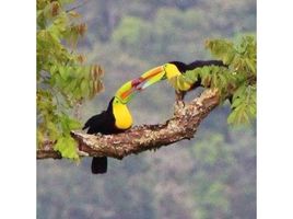  Grundstück zu verkaufen in Tilaran, Guanacaste, Tilaran, Guanacaste