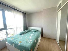 1 Schlafzimmer Wohnung zu verkaufen im Fuse Sense Bangkae, Bang Khae Nuea, Bang Khae, Bangkok