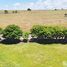  Land for sale in Sumba Timur East Nusa Tenggara, Pandawai, Sumba Timur, East Nusa Tenggara