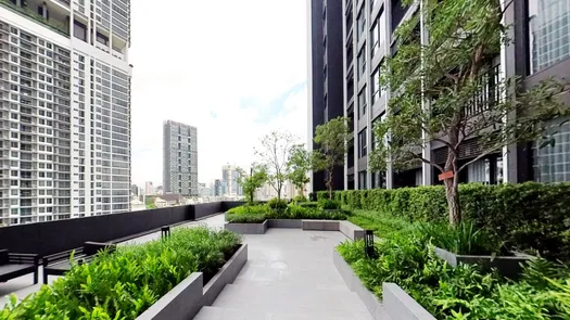 Vista en 3D of the Communal Garden Area at Knightsbridge Prime Sathorn