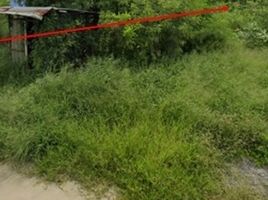  Land for sale in Sing Buri, Phrom Buri, Phrom Buri, Sing Buri