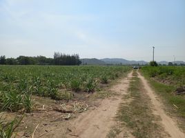  Grundstück zu verkaufen in Tha Muang, Kanchanaburi, Phang Tru