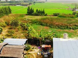  Grundstück zu verkaufen in Photharam, Ratchaburi, Ban Khong, Photharam