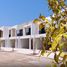 2 Bedroom Villa for sale at Marbella Bay, Pacific, Al Marjan Island