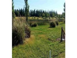  Land for sale in Tigre, Buenos Aires, Tigre