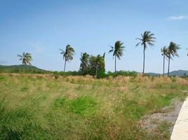  Grundstück zu verkaufen in Pran Buri, Prachuap Khiri Khan, Wang Phong