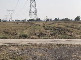  Land for sale in Lop Buri, Bang Phueng, Ban Mi, Lop Buri