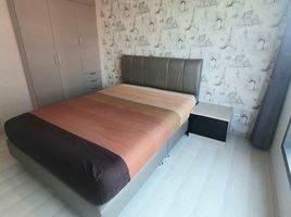 1 Schlafzimmer Wohnung zu vermieten im Life Sukhumvit 48, Phra Khanong, Khlong Toei, Bangkok