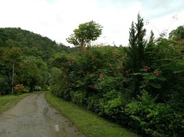  Grundstück zu verkaufen in Mae Taeng, Chiang Mai, Pa Pae, Mae Taeng