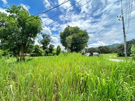  Land for sale in Thung Pi, Mae Wang, Thung Pi