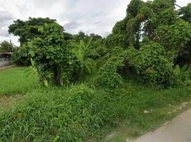 ขายที่ดิน ใน เมืองเพชรบุรี เพชรบุรี, บ้านกุ่ม, เมืองเพชรบุรี, เพชรบุรี