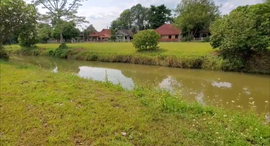 Verfügbare Objekte im Wiang Doi Village