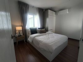 3 Schlafzimmer Haus zu vermieten im Supalai Palm Spring Banpon Phuket, Si Sunthon, Thalang