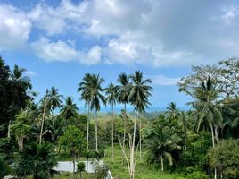  Land for sale in Ang Thong, Koh Samui, Ang Thong