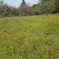  Land for sale in San Rafael, Heredia, San Rafael