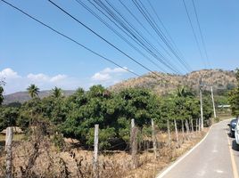  Grundstück zu verkaufen in Chom Thong, Chiang Mai, Ban Luang, Chom Thong, Chiang Mai