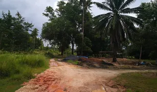 N/A Grundstück zu verkaufen in Phela, Krabi 