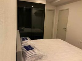 1 Bedroom Condo for rent at Quintara Treehaus Sukhumvit 42, Phra Khanong