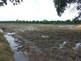  Grundstück zu verkaufen in Sawang Wirawong, Ubon Ratchathani, Kaeng Dom