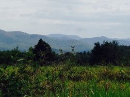  Grundstück zu verkaufen in Suan Phueng, Ratchaburi, Tha Khoei, Suan Phueng