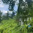  Land for sale in Karon, Phuket Town, Karon