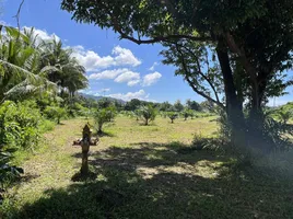  Grundstück zu verkaufen in Takua Pa, Phangnga, Khuek Khak