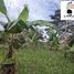  Land for sale in General Proano, Morona Santiago, General Proano, Morona