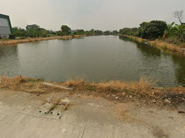  Grundstück zu verkaufen in Bang Sao Thong, Samut Prakan, Bang Sao Thong, Bang Sao Thong