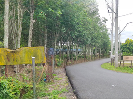  Land for sale in Phuket, Thep Krasattri, Thalang, Phuket