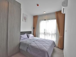 2 Bedroom Apartment for rent at Notting Hill Sukhumvit 105, Bang Na, Bang Na, Bangkok