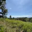  Land for sale in Koh Phangan, Surat Thani, Koh Phangan, Koh Phangan