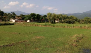 N/A Grundstück zu verkaufen in , Chiang Mai 