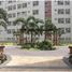 2 Bedroom Apartment for sale at Suntrust Solana, Ermita
