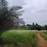  Land for sale in Phuket, Thep Krasattri, Thalang, Phuket