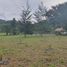  Land for sale in Phuket International Airport, Mai Khao, Sakhu