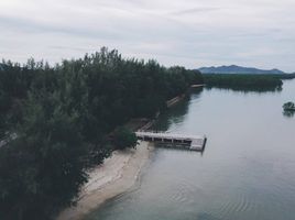  Grundstück zu verkaufen in Thalang, Phuket, Pa Khlok, Thalang