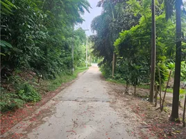  Land for sale in Koh Samui Surat Thani, Bo Phut, Koh Samui, Surat Thani, Thailand