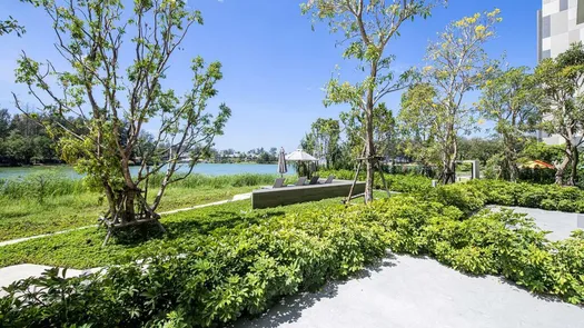 Фото 1 of the Communal Garden Area at Cassia Residence Phuket