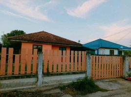 2 Schlafzimmer Haus zu verkaufen in Mae Rim, Chiang Mai, Pong Yaeng