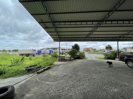  Land for sale in Na Mai, Lat Lum Kaeo, Na Mai