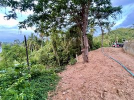  Land for sale in Maenam, Koh Samui, Maenam