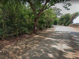  Land for sale in Wang Phong, Pran Buri, Wang Phong