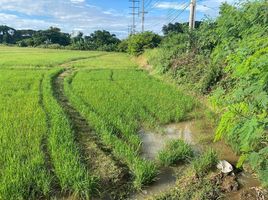 ขายที่ดิน ใน เวียงสา น่าน, น้ำปั้ว