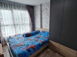 1 Schlafzimmer Wohnung zu vermieten im Aspen Condo Lasalle, Bang Na