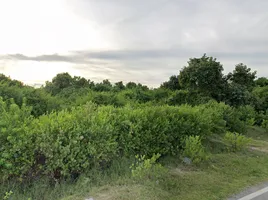  Grundstück zu verkaufen in Mueang Pattani, Pattani, A Noru