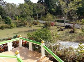 5 Schlafzimmer Villa zu verkaufen in Mueang Chiang Rai, Chiang Rai, Mae Kon, Mueang Chiang Rai