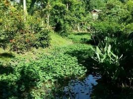  Land for sale in Mae Raem, Mae Rim, Mae Raem