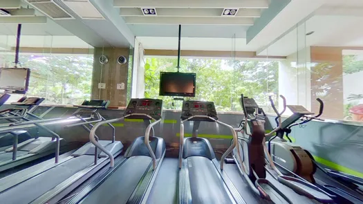 3D视图 of the Communal Gym at Kallista Mansion