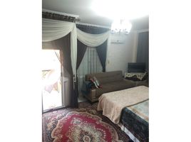 3 Schlafzimmer Wohnung zu verkaufen im El Rehab Extension, Al Rehab, New Cairo City, Cairo, Ägypten
